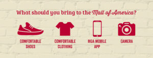 What should you bring to the Mall of America?