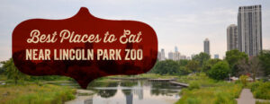 lincoln-park-zoo-restaurants