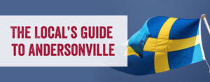 Local's Guide to Andersonville Image