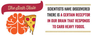 Scientists have discovered there is a certain receptor in our brain that responds to carb heavy foods.