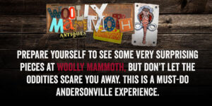 You'll see some strange things at the Woolly Mammouth.