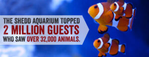 2 Million Guests