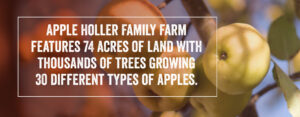 Apple Holler Family Farm Features 74 acres of land.