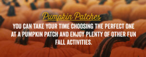 You can take your time choosing the perfect one at a pumpkin patch and enjoy plenty of other fun fall activities