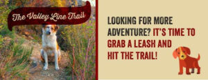 Adventure valley line trail with your pup!