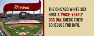 What's better than dogs and baseball? White Sox Dog Day has both!