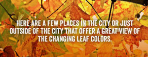 Here are a few places in the city or just outside of the city that offer a great view of the changing leaf colors.