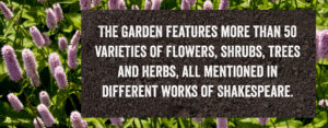 The Shakespeare Garden features many flowers, shrubs and herbs - all of which have been discussed in works of Shakespeare