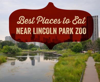lincoln-park-zoo