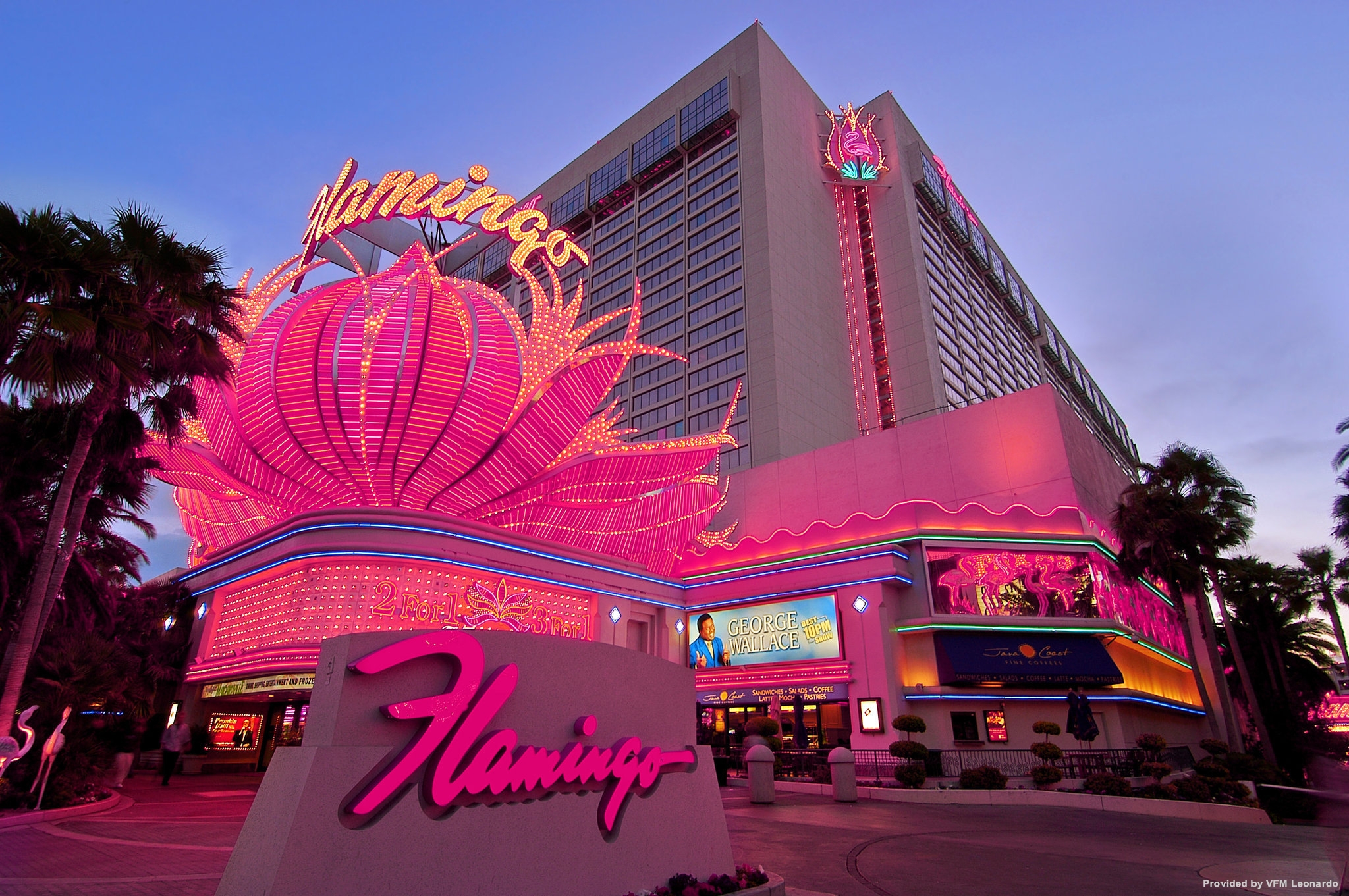 flamingo hotel